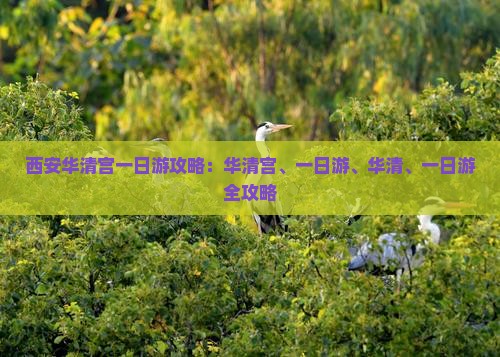 阿里去西安华清宫一日游