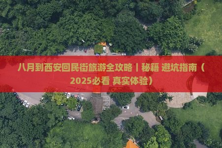 八月到西安回民街一日游