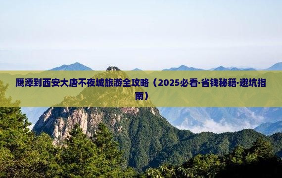 鹰潭到西安大唐不夜城旅行社