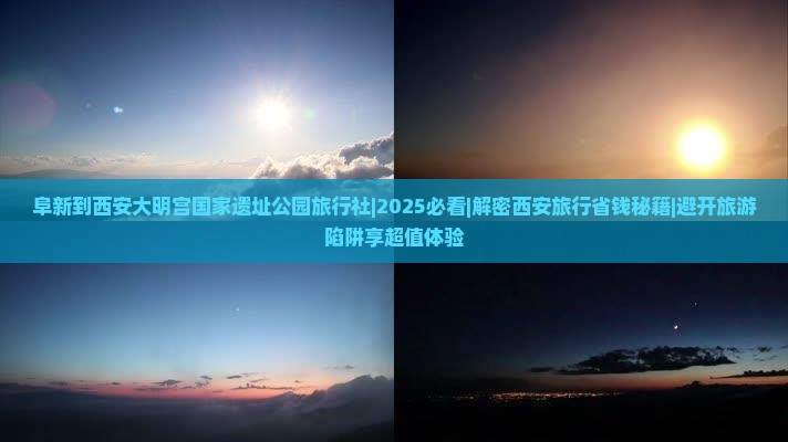 阜新到西安大明宫国家遗址公园旅行社