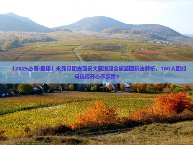 永新去西安大雁塔大型旅游团