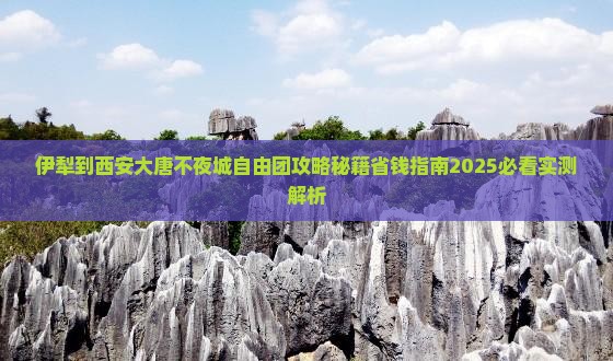 伊犁到西安大唐不夜城自由团