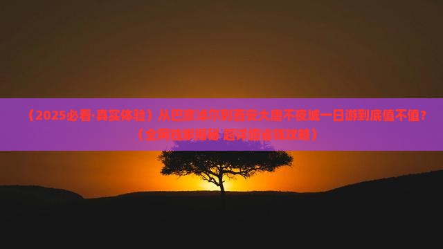 巴彦淖尔到西安大唐不夜城一日游