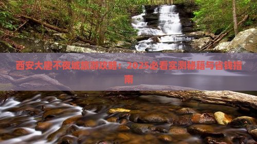 丽江去西安大唐不夜城攻略