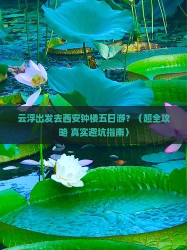 云浮去西安钟楼五日游