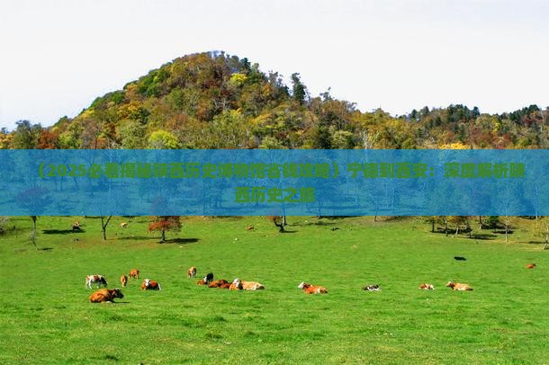 宁德到西安陕西历史博物馆大型旅游团