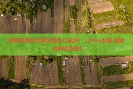 衡阳到西安大唐芙蓉园七日游