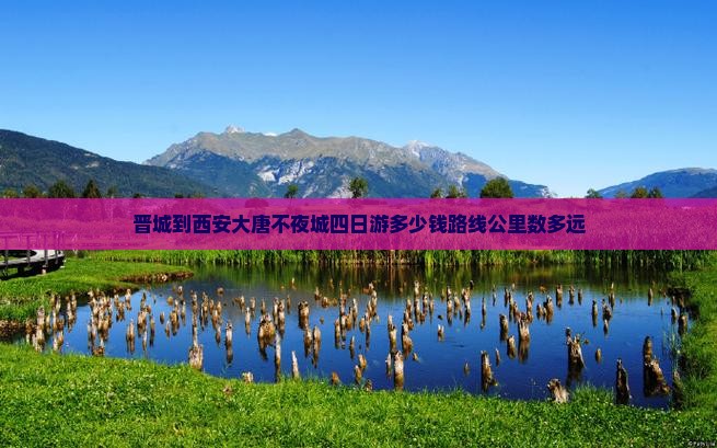 晋城到西安大唐不夜城四日游 晋城到西安大唐不夜城四日游