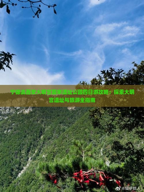 宁德去西安大明宫国家遗址公园四日游