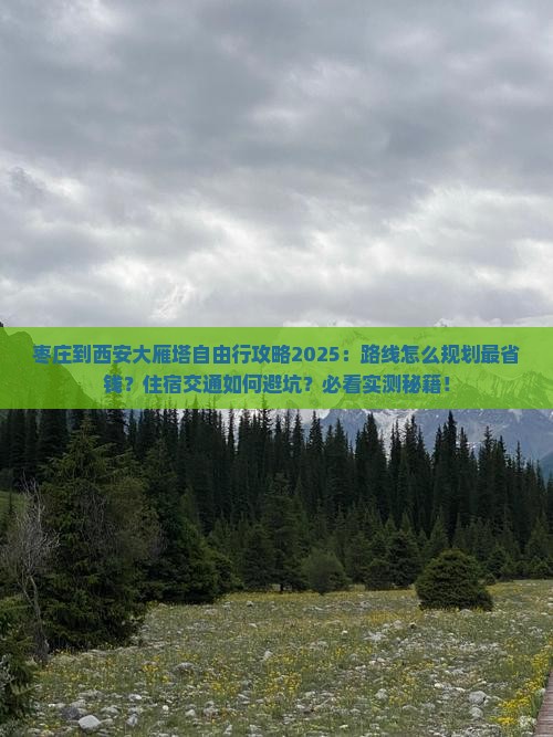 枣庄到西安大雁塔自由行