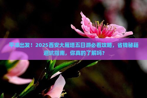 平凉去西安大雁塔五日游