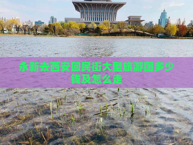 永新去西安回民街大型旅游团