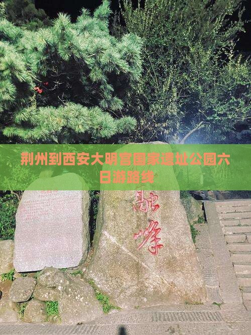 荆州到西安大明宫国家遗址公园六日游