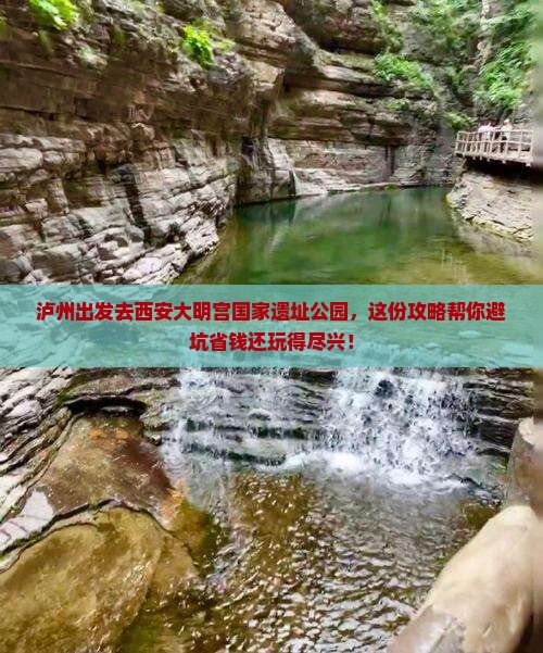 泸州去西安大明宫国家遗址公园旅行社