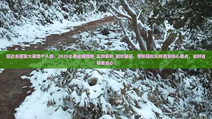 延边去西安大雁塔个人游