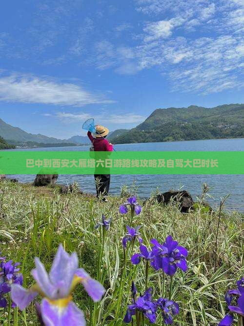 巴中到西安大雁塔六日游