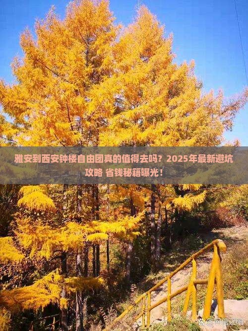 雅安到西安钟楼自由团