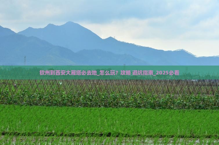 钦州到西安大雁塔必去地