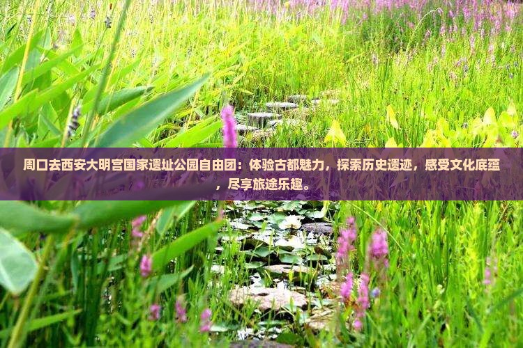周口去西安大明宫国家遗址公园自由团