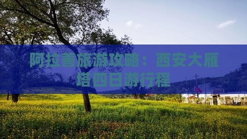 阿拉善盟到西安大雁塔四日游