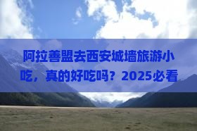 阿拉善盟去西安城墙旅游小吃
