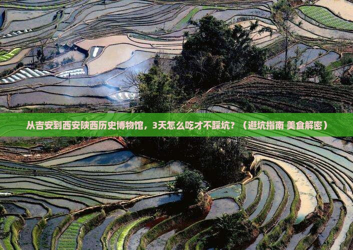 吉安到西安陕西历史博物馆旅游小吃