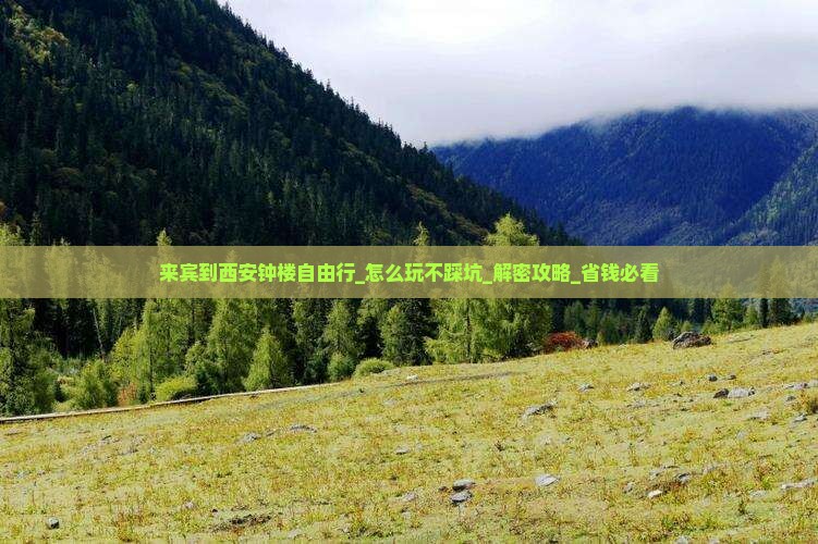 来宾到西安钟楼自由行