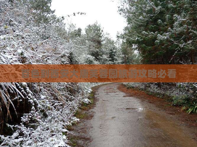 百色到西安大唐芙蓉园旅行社