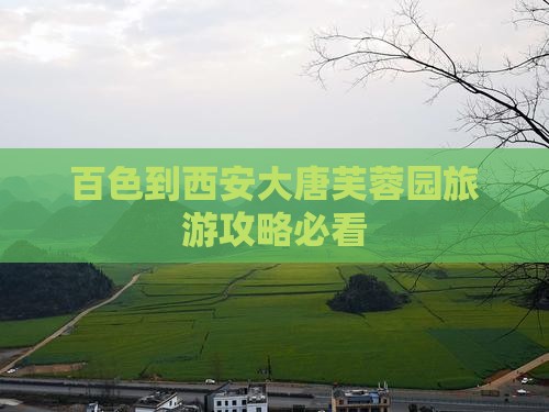 百色到西安大唐芙蓉园旅行社
