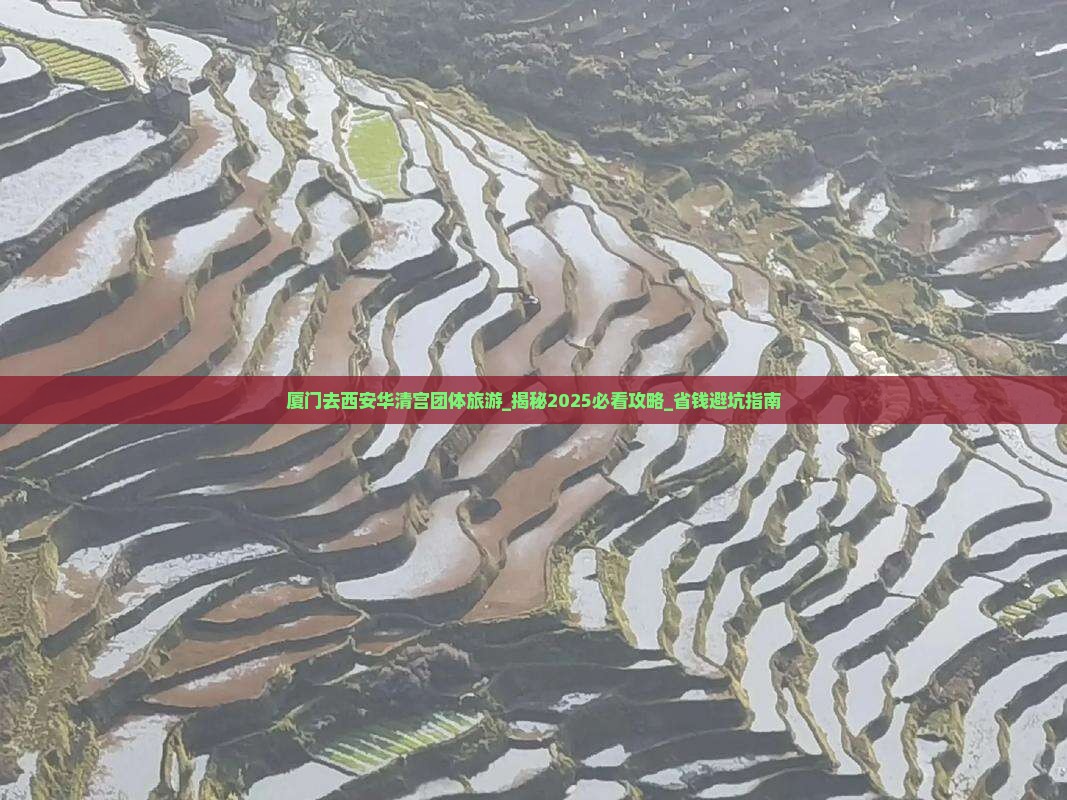 厦门去西安华清宫团体旅游