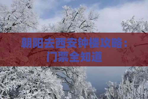 朝阳去西安钟楼门票