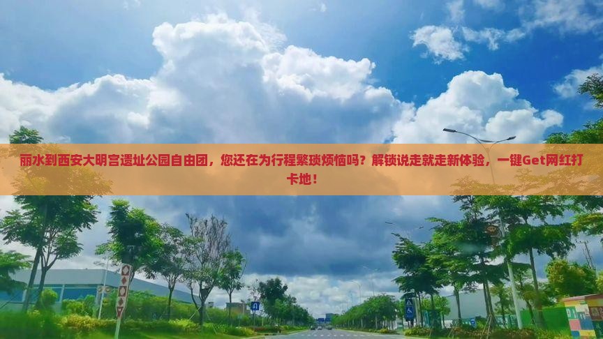 丽水到西安大明宫国家遗址公园自由团
