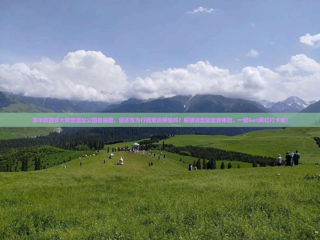 丽水到西安大明宫国家遗址公园自由团