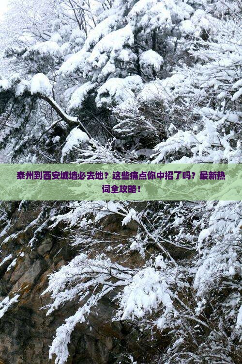 泰州到西安城墙必去地