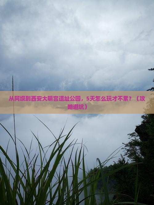 阿坝到西安大明宫国家遗址公园个人游