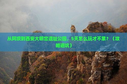 阿坝到西安大明宫国家遗址公园个人游