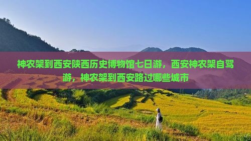 神农架到西安陕西历史博物馆七日游