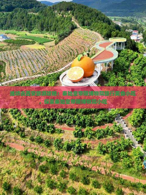 潍坊去西安秦始皇帝陵博物院旅游小吃