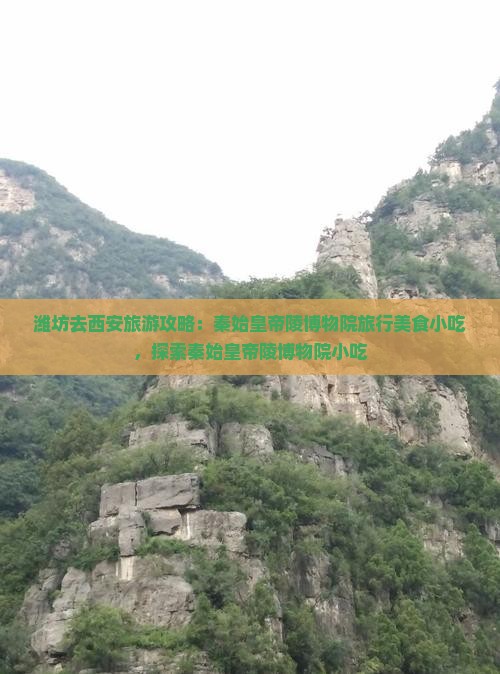 潍坊去西安秦始皇帝陵博物院旅游小吃