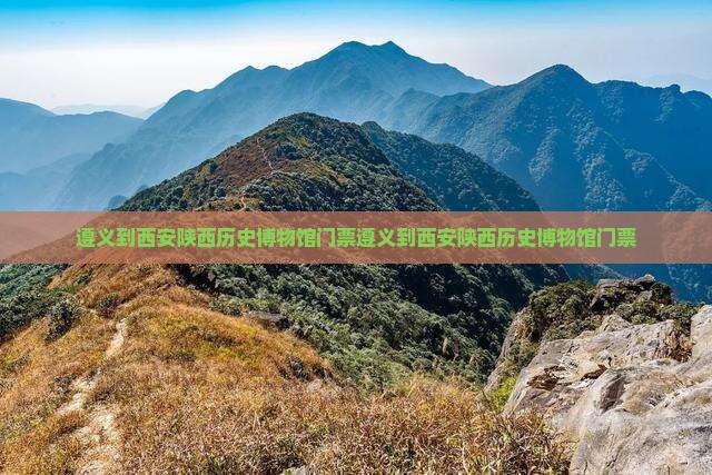 遵义到西安陕西历史博物馆门票
