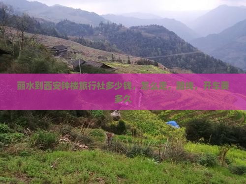 丽水到西安钟楼旅行社