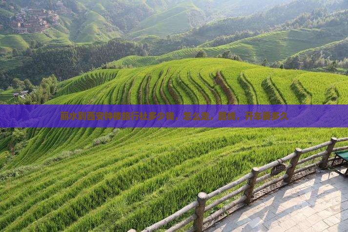 丽水到西安钟楼旅行社