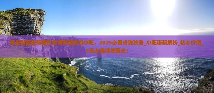 泰安到西安陕西历史博物馆旅游小吃