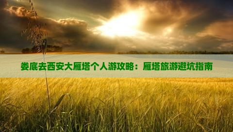 娄底去西安大雁塔个人游