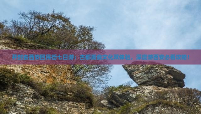 开封去西安回民街七日游