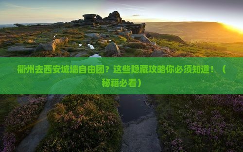 衢州去西安城墙自由团