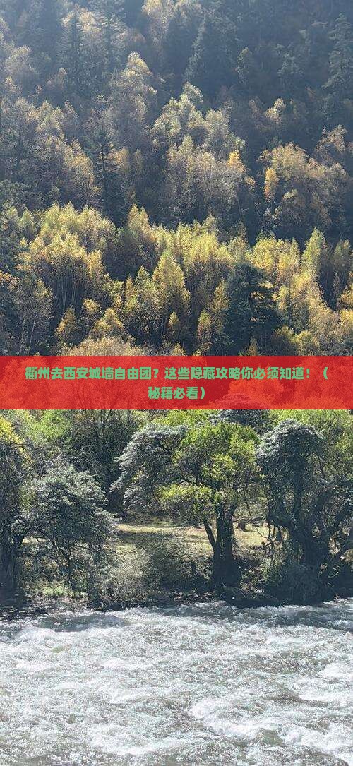 衢州去西安城墙自由团