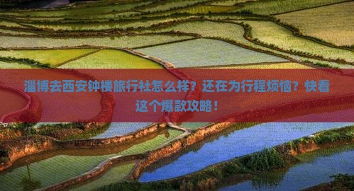 淄博去西安钟楼旅行社