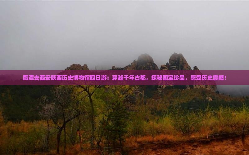 鹰潭去西安陕西历史博物馆四日游