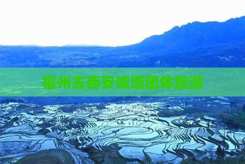福州去西安城墙团体旅游